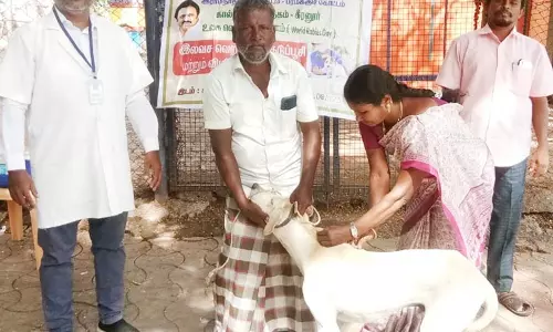வெறிேநாய் தடுப்பூசி முகாம்