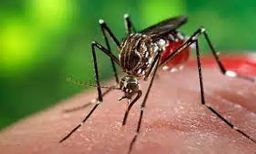 கோவையில் 102 இடங்களில் நாளை காய்ச்சல் தடுப்பு முகாம்