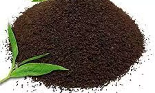 குன்னூர் ஏல மையத்தில் தேயிலைதூள் விற்பனை ஜோர்