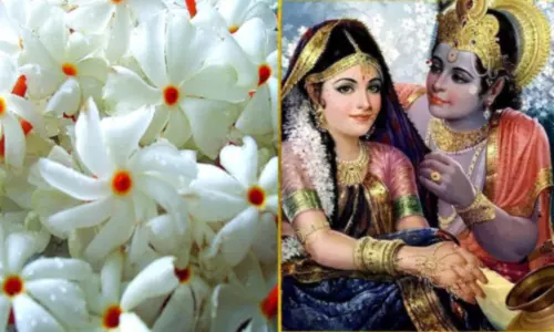 ருக்மணியும் பாரிஜாத மலரும்