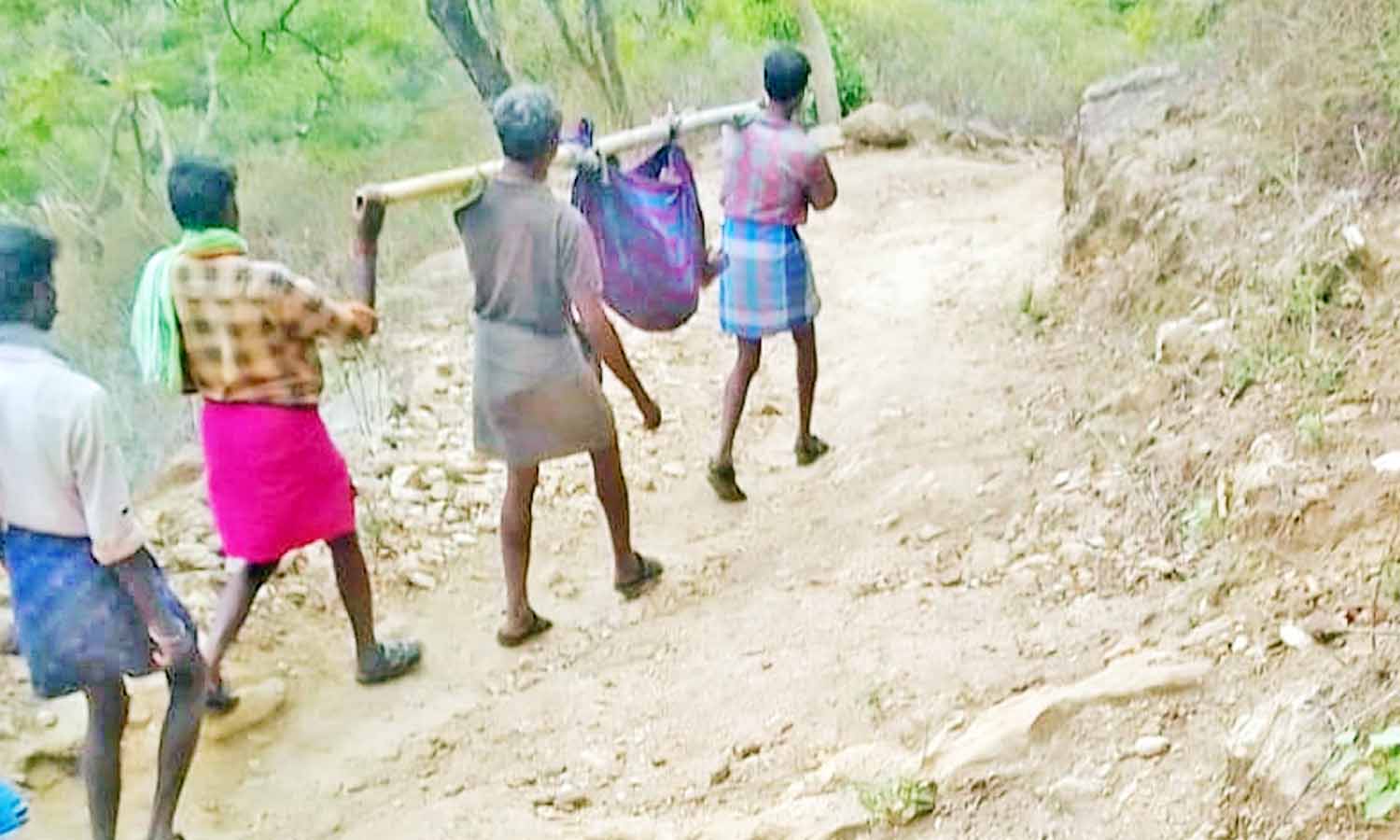 சிகிச்சைக்காக ெதாழிலாளியை ெதாட்டில் கட்டி தூக்கிச்சென்ற மலைவாழ் மக்கள் - பாதை வசதி ஏற்படுத்தி தர கோரிக்கை