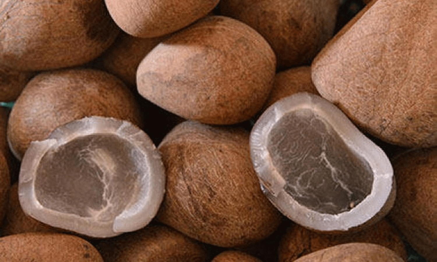 ரூ.1.53 கோடிக்கு கொப்பரை ஏலம்