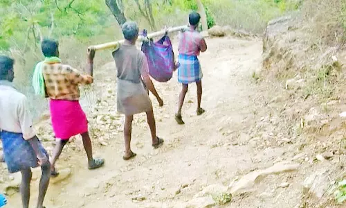 சிகிச்சைக்காக ெதாழிலாளியை ெதாட்டில் கட்டி தூக்கிச்சென்ற மலைவாழ் மக்கள் - பாதை வசதி ஏற்படுத்தி தர கோரிக்கை