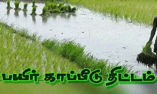 தேனி மாவட்டத்தில் பிரதமரின் புதுப்பிக்கப்பட்ட பயிர் காப்பீடு திட்டத்தில் சேர விவசாயிகளுக்கு அறிவுறுத்தல்