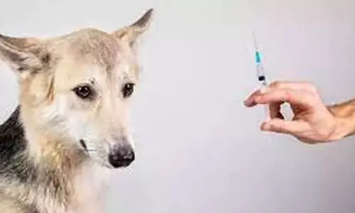 பல்லடம் அருகே வெறிநாய் கடி தடுப்பு   விழிப்புணர்வு நிகழ்ச்சி