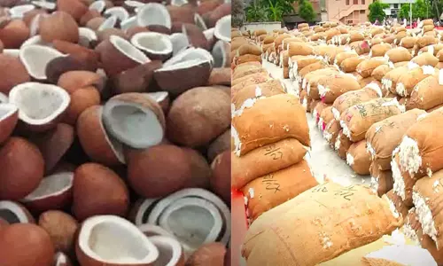 எடப்பாடி ஒழுங்குமுறை விற்பனை கூடத்தில் பருத்தி, தேங்காய் பருப்பு ஏலம்