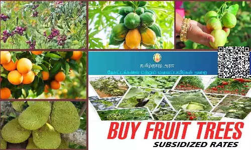 மானிய விலையில் பழமர செடிகள் பொதுமக்கள் - விவசாயிகள் வாங்கி பயன்பெற அழைப்பு