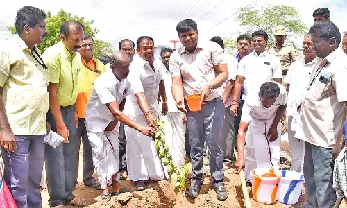 தூய்மை இந்தியா திட்டத்தின் கீழ் நெல்லை மாவட்டத்தில் மெகா தூய்மை பணி