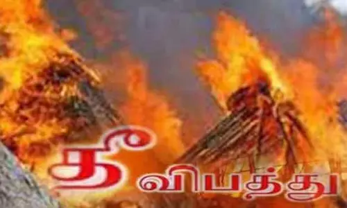 குறிஞ்சிப்பாடி அருகேமரவள்ளி கிழங்கு ேதாட்டத்துக்கு தீ வைப்பு