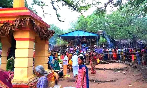 உடுமலை ஏழுமலையான் கோவில் பகுதியில் பிளாஸ்டிக் ஒழிப்பு குறித்து பக்தர்களுக்கு விழிப்புணர்வு