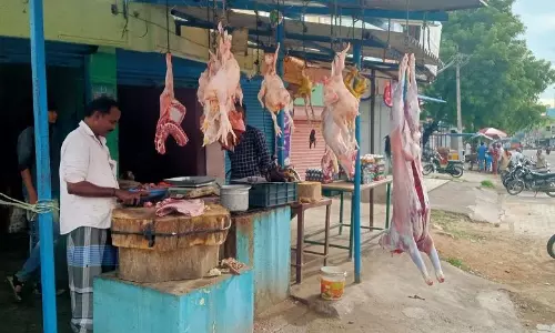 புரட்டாசி மாதத்தையொட்டி தருமபுரி, கிருஷ்ணகிரி மாவட்டங்களில் இறைச்சி, மீன் கடைகளில் வியாபாரம் மந்தம்