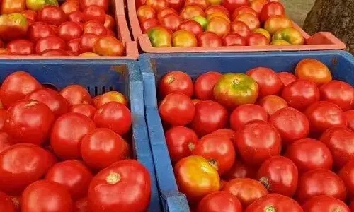 வெள்ளகோவில் வார சந்தையில்  தக்காளி ஒரு கிலோ ரூ.10க்கு விற்பனை