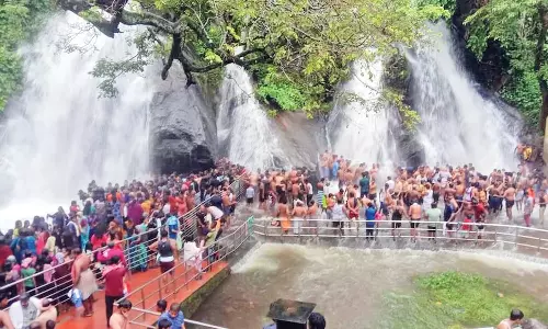 சேர்வலாறு, பாபநாசம் அணைகளின் நீர்மட்டம் கிடுகிடு உயர்வு: குற்றாலத்தில்  சுற்றுலா பயணிகள் கூட்டம் அலைமோதல்