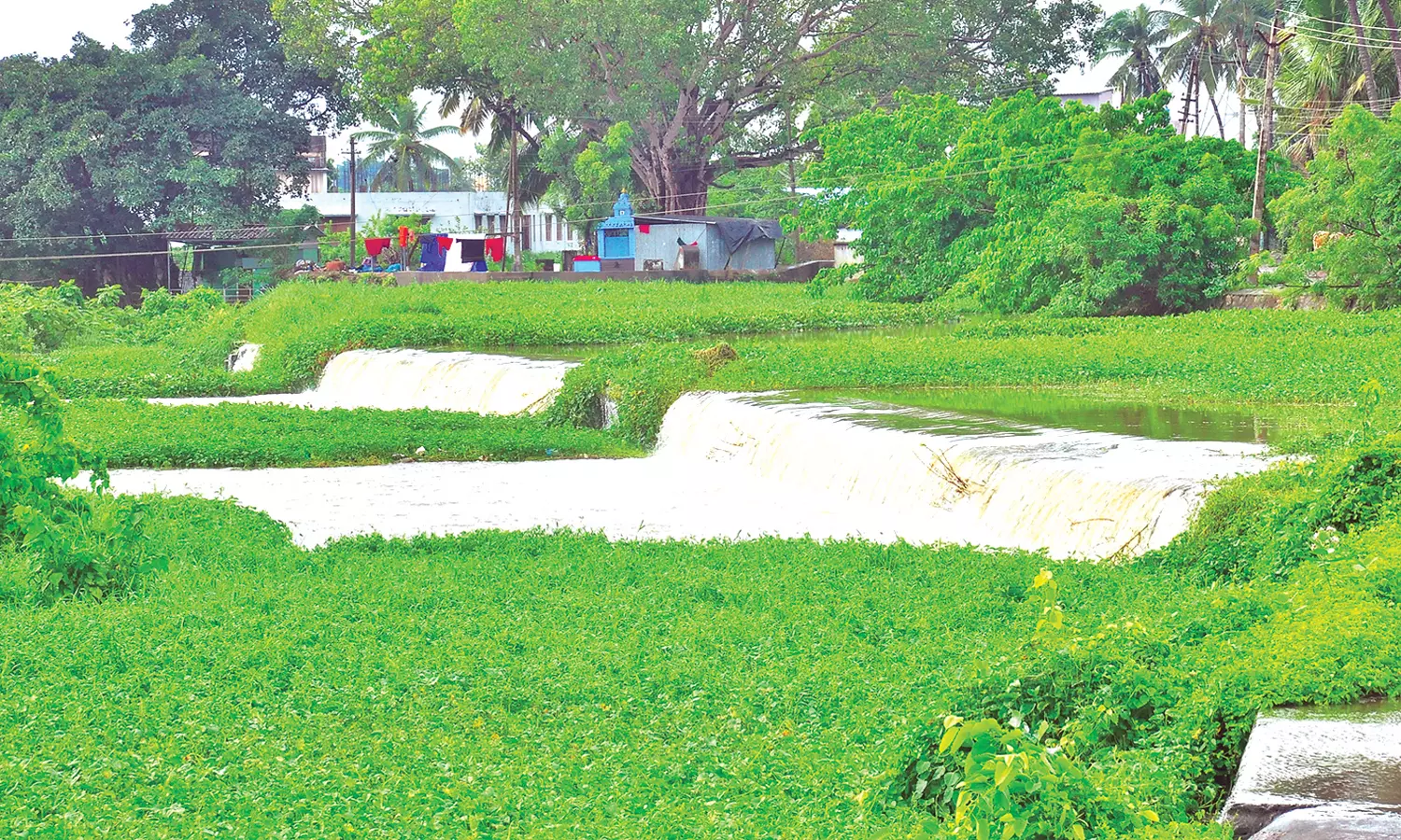 குமரி மாவட்டத்தில் விடிய விடிய கொட்டிய கனமழை குமரி மாவட்டத்தில் விடிய விடிய கொட்டிய கனமழை