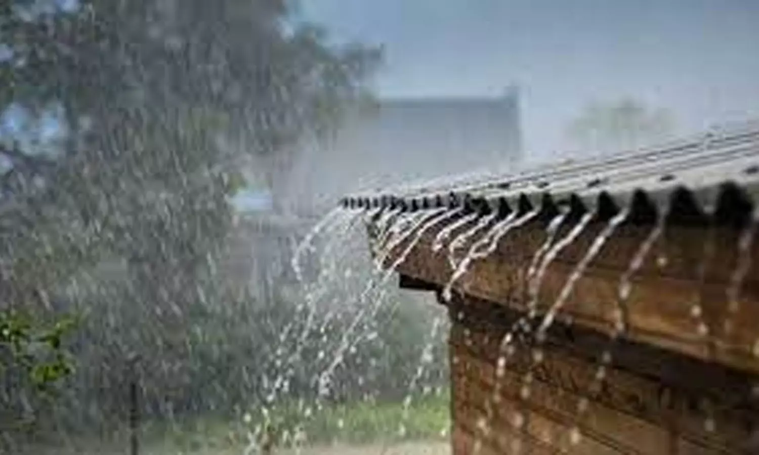 வடகிழக்கு பருவமழை முன்னெச்சரிக்கை- மின் கம்பி, ஸ்டே கம்பிகளில் கயிறு கட்ட வேண்டாம் வடகிழக்கு பருவமழை முன்னெச்சரிக்கை- மின் கம்பி, ஸ்டே கம்பிகளில் கயிறு கட்ட வேண்டாம்