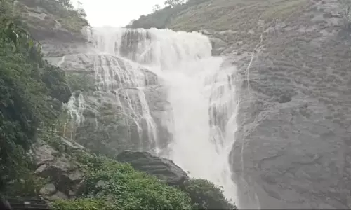 மேற்கு தொடர்ச்சி மலைப்பகுதியில் தொடர் மழை: பாலருவி, மணிமுத்தாறு அருவிகளில் வெள்ளப்பெருக்கு