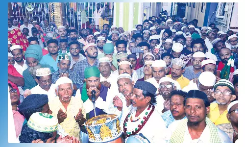 தர்காவில் சந்தனக்கூடு திருவிழா