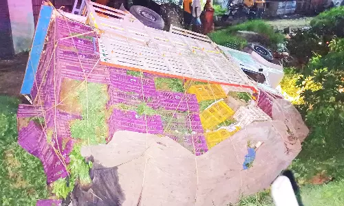 லோடு வேன் கவிழ்ந்து 5 ஆயிரம் கீரைகட்டுகள் நாசம்