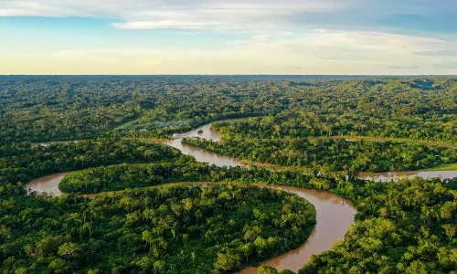 அதிகரிக்கும் வெப்பத்தால் நூற்றுக்கணக்கான டால்பின்கள் பலி: சுற்றுச்சூழல் ஆர்வலர்கள் கவலை