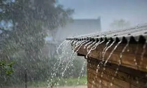 வடகிழக்கு பருவமழை முன்னெச்சரிக்கை- மின் கம்பி, ஸ்டே கம்பிகளில் கயிறு கட்ட வேண்டாம்