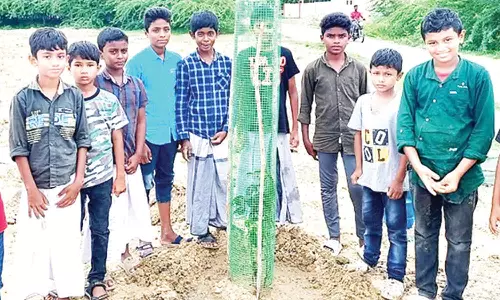 தவ்ஹீத் ஜமாத் சார்பில் மரக்கன்று நடும் விழா