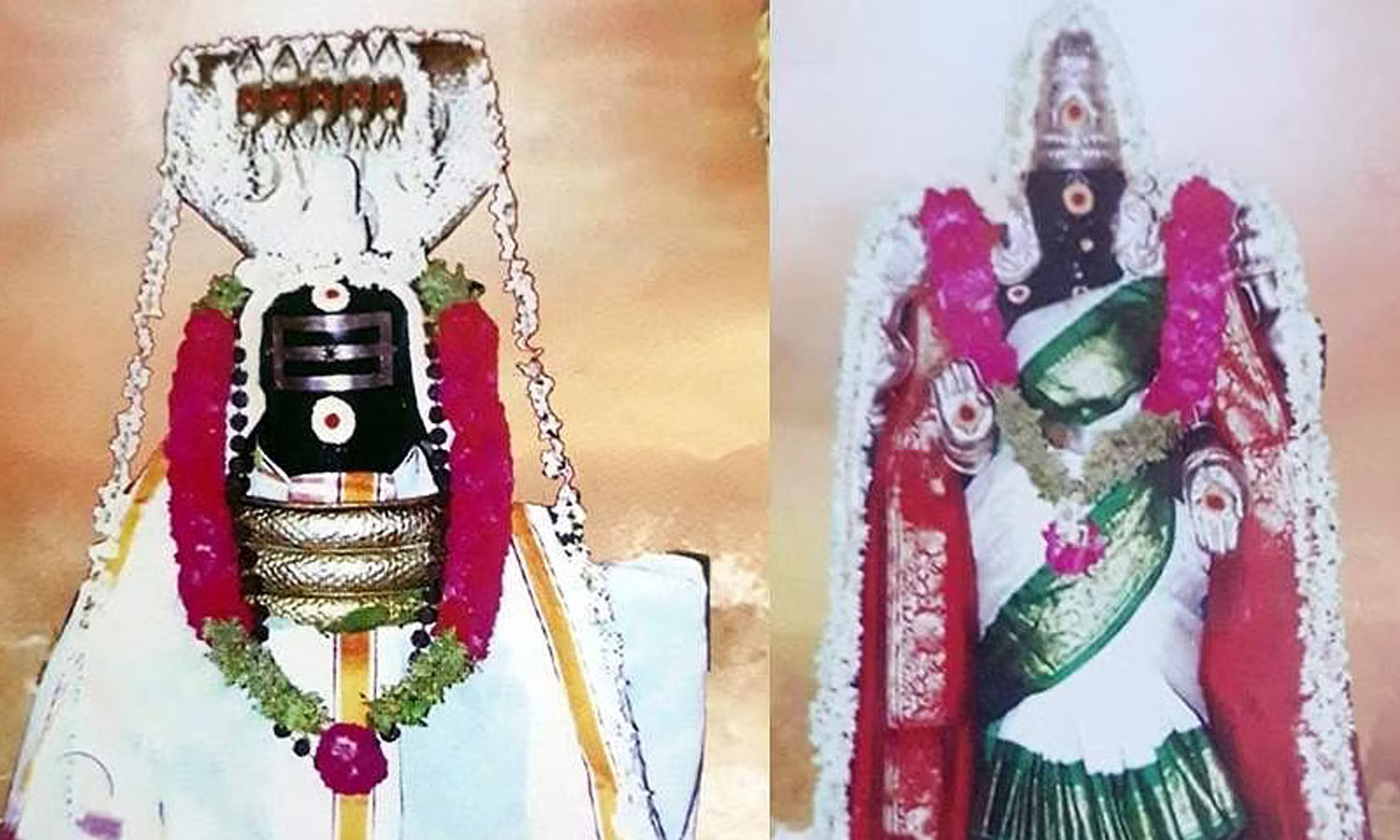 கேது தோஷம் நீக்கும் பரிகாரங்கள்