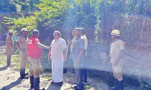 சாலையில் விழுந்து போக்குவரத்துக்கு இடையூறாக இருந்த மரம் அகற்றம்