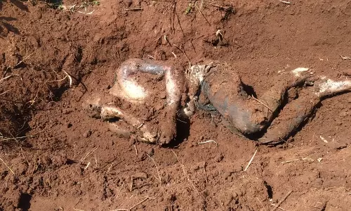 வாலிபர் கொன்று புதைப்பு?