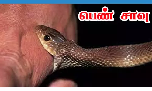 பாம்பு கடித்து பெண் சாவு