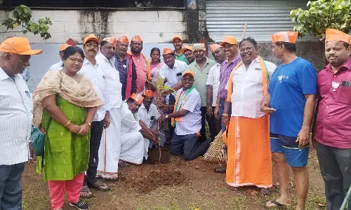 பா.ஜனதா சார்பில் தென்காசி கோவில் தெப்பக்குளத்தை தூய்மைப்படுத்தும் பணி