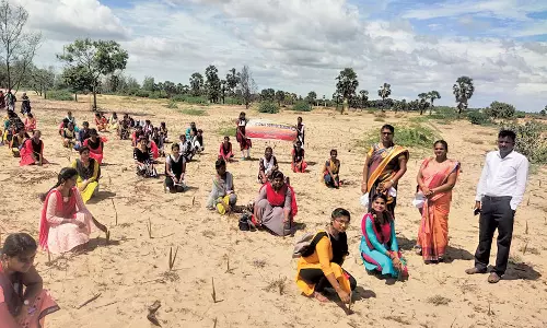 திருச்செந்தூர் கோவிந்தம்மாள் ஆதித்தனார் மகளிர் கல்லூரி சார்பில்  ஒரு கோடி பனை விதை நடும் பணி - அமைச்சர் அனிதா ராதாகிருஷ்ணன் தொடங்கி வைத்தார்