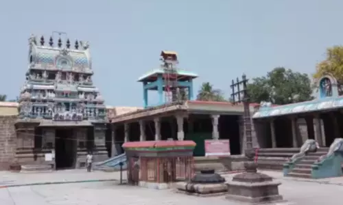 ஆடி முளைக்கொட்டு