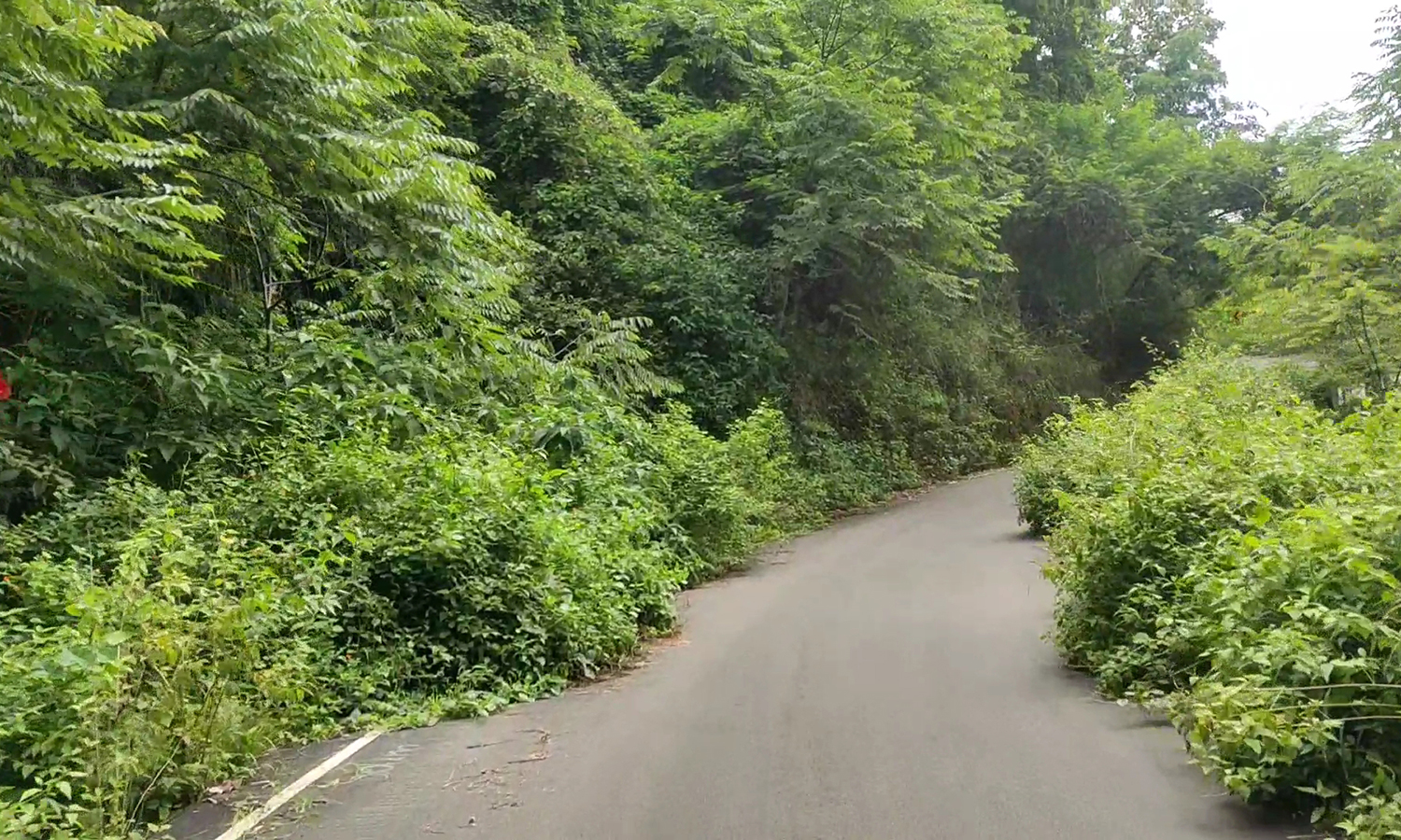 கொடைக்கானல் - அடுக்கம் சாலை பயன்பாட்டுக்கு வருவது எப்போது? சுற்றுலா பயணிகள் எதிர்பார்ப்பு