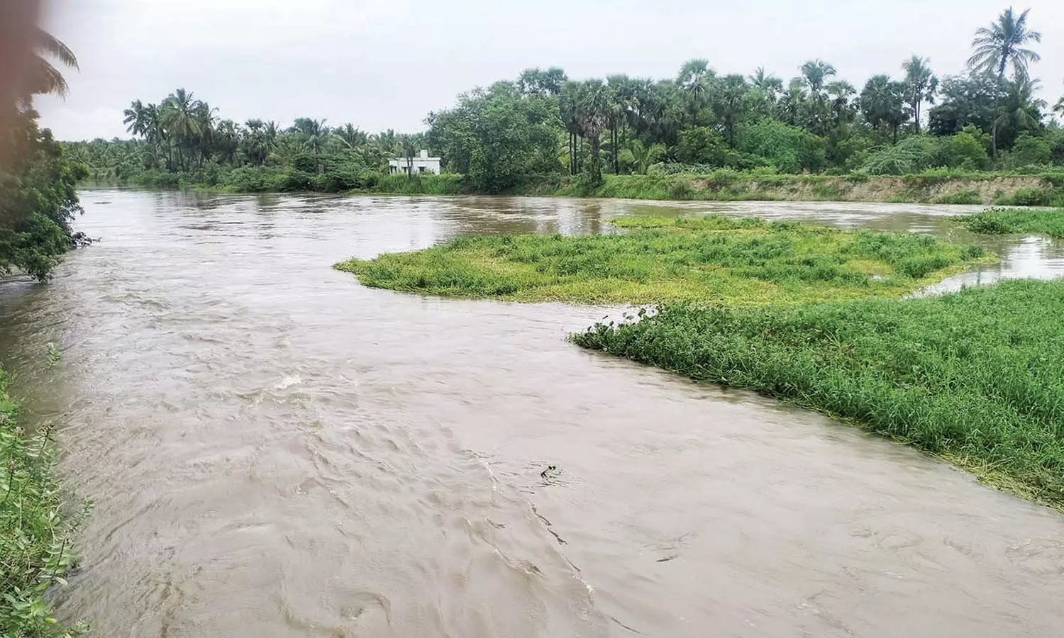 மாம்பழத்துறையாறு அணை ஒரே நாளில் 13½ அடி உயர்ந்தது மாம்பழத்துறையாறு அணை ஒரே நாளில் 13½ அடி உயர்ந்தது