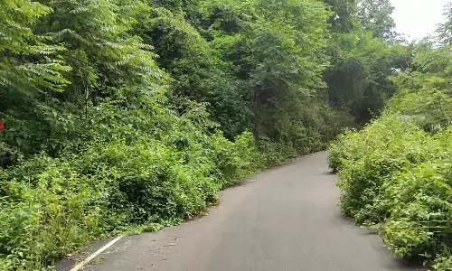 கொடைக்கானல் - அடுக்கம் சாலை பயன்பாட்டுக்கு வருவது எப்போது? சுற்றுலா பயணிகள் எதிர்பார்ப்பு