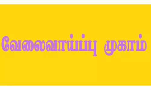 தொழிலாளர் துறை சார்பில் வேலைவாய்ப்பு முகாம்