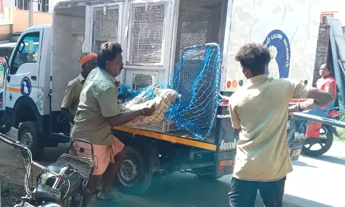 திண்டுக்கல்லில் சுற்றி திரிந்த நாய்களுக்கு ரேபிஸ் தடுப்பூசி