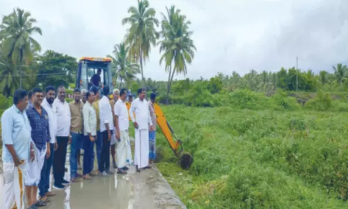 வடக்குதாமரைகுளம் ஆற்றுப்பாலத்தில் சூழ்ந்த செடி, கொடிகளை அகற்றும் பணி தொடங்கியது.