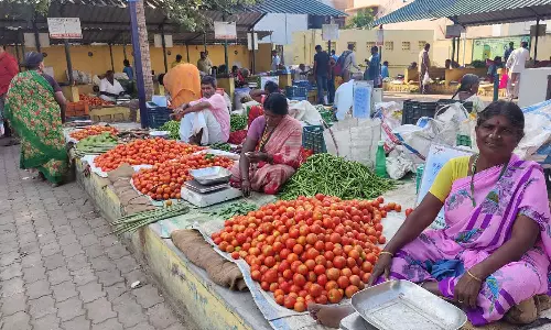 மீண்டும் படுவீழ்ச்சியில் தக்காளி: கிலோ ரூ.8-க்கு விற்பனை