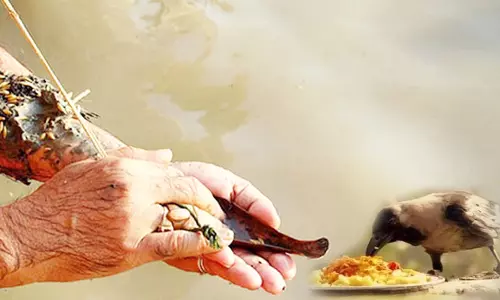 பல தலைமுறை பித்ரு சாபம் நீக்கும் தில தர்ப்பணம்