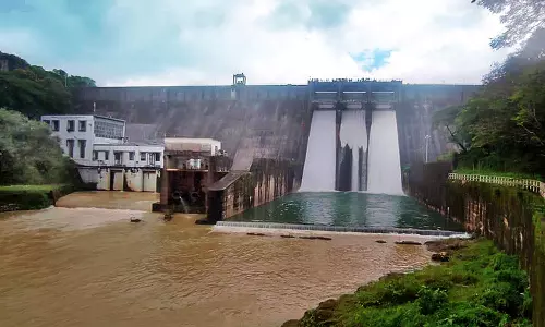 தென்மலை அணையில் இருந்து தண்ணீர் வெளியேற்றம்- சுற்றுலா பயணிகள் ஆர்வமுடன் கண்டுகளித்தனர்