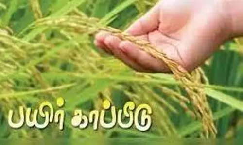 திருந்திய பிரதம மந்திரியின் பயிர் காப்பீட்டுத் திட்டத்தில் 24 பருவ பயிருக்கு காப்பீடு செய்ய அழைப்பு