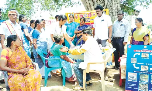 டெங்கு காய்ச்சல் தடுப்பு சிறப்பு முகாம்