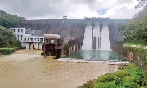 தென்மலை அணையில் இருந்து தண்ணீர் வெளியேற்றம்: சுற்றுலா பயணிகள் ஆர்வமுடன் கண்டுகளித்தனர்