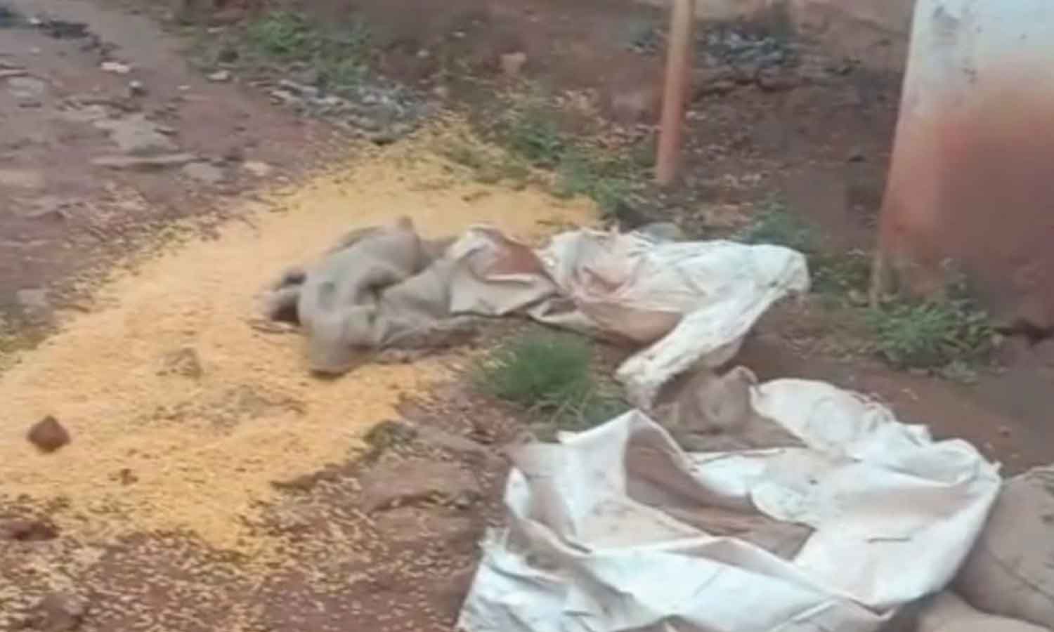 ரேஷன் கடை-அங்கன்வாடி மையத்தில் புகுந்து பொருட்களை சூறையாடிய கரடிகள்