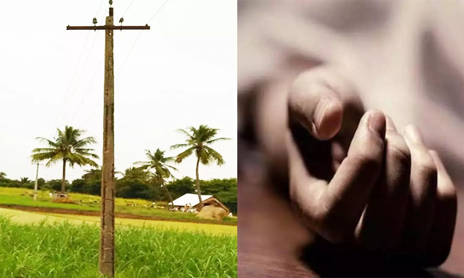 மின்சாரம் தாக்கி பெண் பலி | Thiruvannamalai News Woman killed by  electrocution