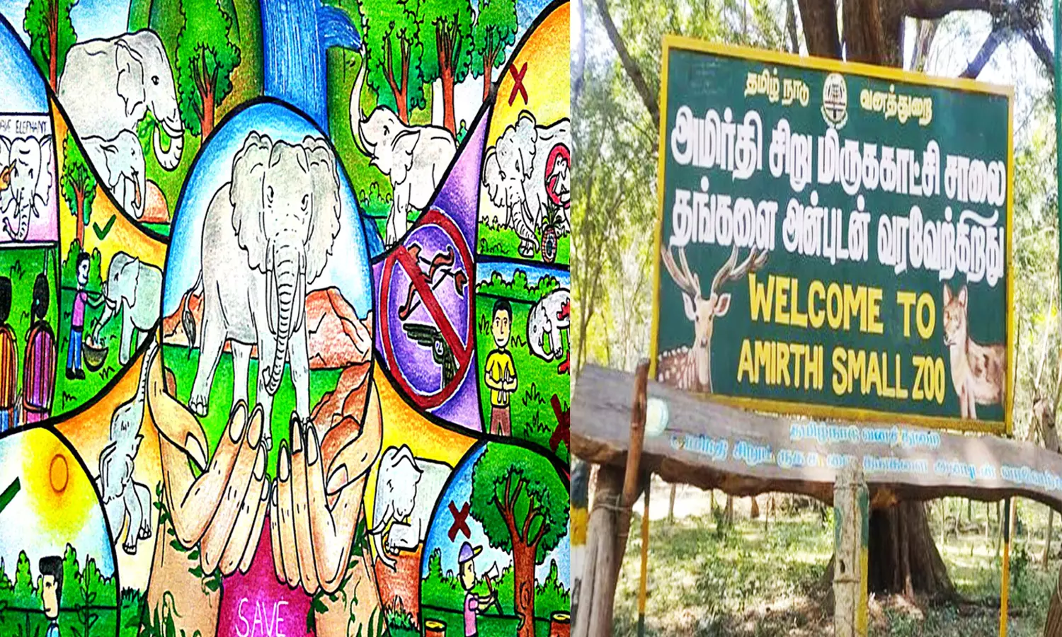 வன விலங்கு வார விழா போட்டிகள் வன விலங்கு வார விழா போட்டிகள்