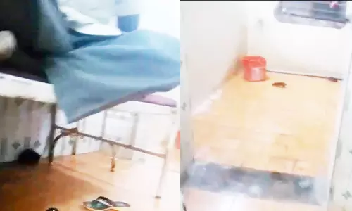 அரசு ஆஸ்பத்திரியில் எலிகள் அட்டகாசம்