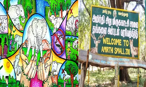 வன விலங்கு வார விழா போட்டிகள்