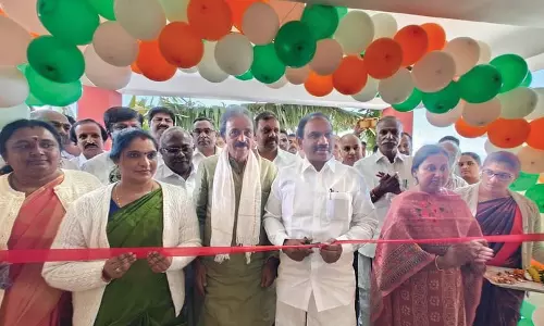 பொதுமக்கள் பிரச்சினைக்கு உடனடி நடவடிக்கை- ஆ.ராசா எம்.பி. உறுதி